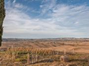 Rustico / Casale in vendita a Castiglione d'Orcia SI