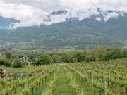 Terreno in vendita a Castione Andevenno SO