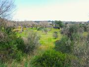 Terreno in vendita a Castrignano del Capo LE