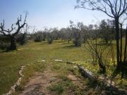 Terreno in vendita a Castrignano del Capo LE