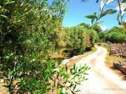 Terreno in vendita a Castrignano del Capo LE