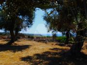 Terreno in vendita a Castrignano del Capo LE