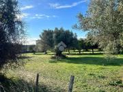 Terreno in vendita a Catanzaro CZ