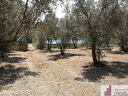 Terreno in vendita a Catanzaro CZ