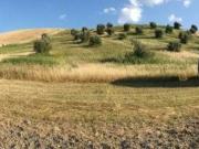 Terreno in vendita a Catanzaro CZ