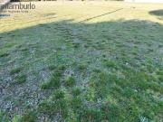 Terreno in vendita a Cavallino Treporti VE