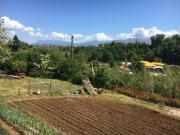 Terreno in vendita a Cave RM