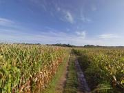 Terreno in vendita a Cavriana MN