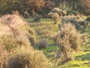 Terreno in vendita a Cefalù PA