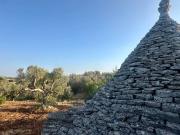 Terreno in vendita a Ceglie Messapica BR