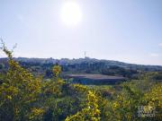 Terreno in vendita a Ceglie Messapica BR