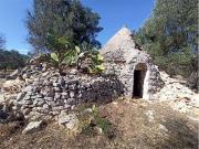 Terreno in vendita a Ceglie Messapica BR