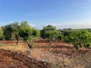 Terreno in vendita a Ceglie Messapica BR