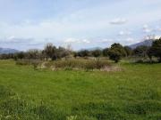 Terreno in vendita a Cellole CE