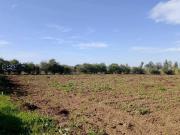 Terreno in vendita a Cellole CE