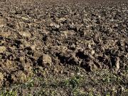 Terreno in vendita a Ceresara MN