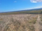 Terreno in vendita a Cerignola FG