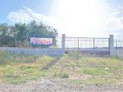 Terreno in vendita a Cerignola FG