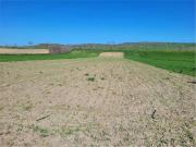 Terreno in vendita a Cerignola FG