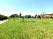 Terreno in vendita a Cerreto Guidi FI