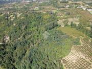 Terreno in vendita a Cerretto Langhe CN