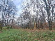 Terreno in vendita a Cerrione BI