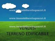 Terreno in vendita a Certaldo FI Terreno in vendita a Certaldo FI