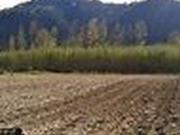 Terreno in vendita a Cerveteri RM