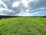 Terreno in vendita a Cerveteri RM