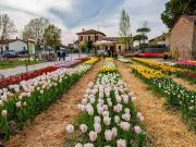 Terreno in vendita a Cervia RA