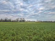 Terreno in vendita a Cervia RA