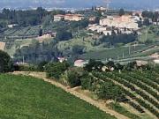 Terreno in vendita a Cesena FC