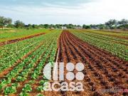 Terreno in vendita a Cesena FC