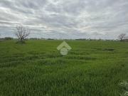 Terreno in vendita a Cesenatico FC