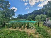 Terreno in vendita a Cetona SI