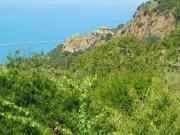 Terreno in vendita a Cetraro CS