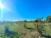 Terreno in vendita a Cherasco CN