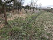 Terreno in vendita a Chioggia VE