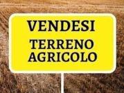 Terreno in vendita a Chiuppano VI