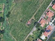 Terreno in vendita a Ciampino RM