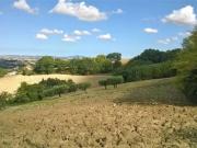 Terreno in vendita a Cingoli MC