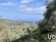 Terreno in vendita a Cipressa IM