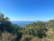 Terreno in vendita a Cipressa IM