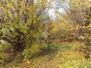 Terreno in vendita a Ciriè TO