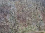 Terreno in vendita a Cirimido CO