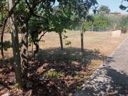 Terreno in vendita a Cisterna di Latina LT