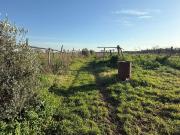 Terreno in vendita a Cisterna di Latina LT