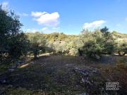 Terreno in vendita a Cisternino BR