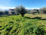 Terreno in vendita a Città Sant'Angelo PE