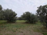 Terreno in vendita a Città Sant'Angelo PE